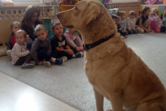 IMG_20251030_095415_752