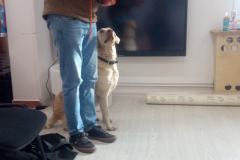 IMG_20251030_095427_368