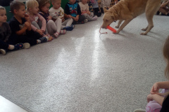 IMG_20251030_095454_208