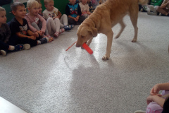 IMG_20251030_095455_296