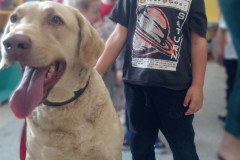 IMG_20251030_100321_909