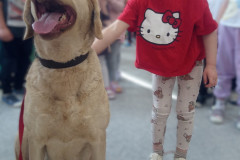 IMG_20251030_100344_785