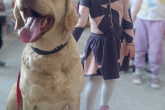 IMG_20251030_100351_000