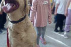 IMG_20251030_100400_516