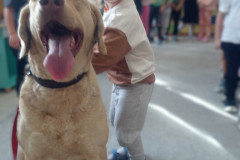 IMG_20251030_100409_181