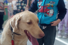 IMG_20251030_100436_275