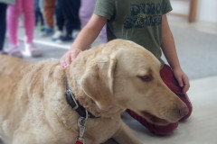 IMG_20251030_100531_443