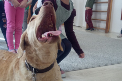 IMG_20251030_100539_140