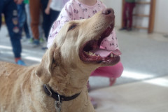 IMG_20251030_100544_169