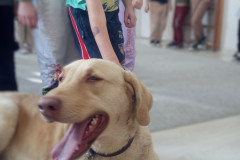 IMG_20251030_100559_824