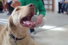 IMG_20251030_100605_733