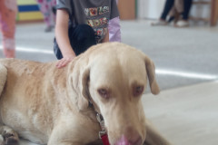 IMG_20251030_100615_658