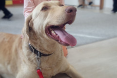 IMG_20251030_100623_672