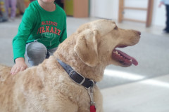 IMG_20251030_100638_682