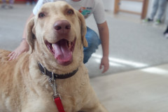 IMG_20251030_100653_054