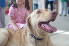 IMG_20251030_100701_540