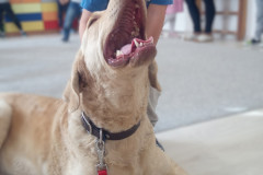 IMG_20251030_100709_296