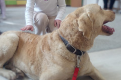 IMG_20251030_100717_130