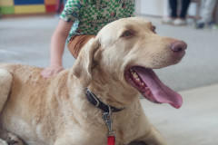 IMG_20251030_100722_233