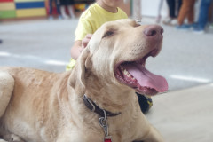 IMG_20251030_100727_362