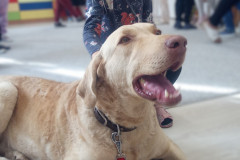 IMG_20251030_100732_718