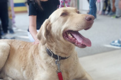 IMG_20251030_100751_657