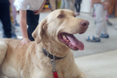 IMG_20251030_100757_077