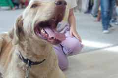 IMG_20251030_100817_343