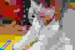 25