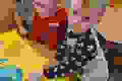 27