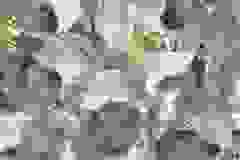 447433240_906995124563322_1682936432338202044_n