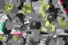 447436136_906995427896625_5767196073874081878_n