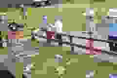 447721483_906997574563077_2944111433204491621_n
