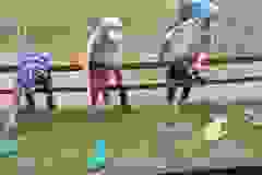 447888603_906997527896415_4213119069175466785_n