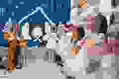 18