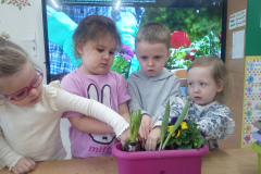 IMG_20260326_094519_756