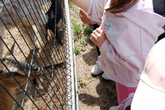 IMG_20260601_095611