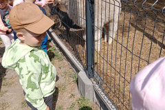 IMG_20260601_095633