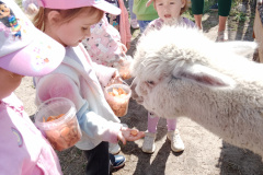 IMG_20260601_100212