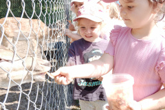 IMG_20260601_100703