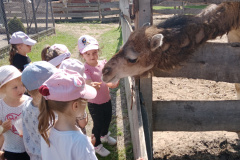 IMG_20260601_101318
