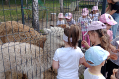 IMG_20260601_103643