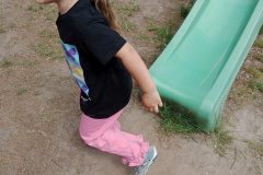 IMG_20260601_110952