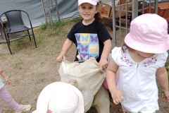 IMG_20260601_112739