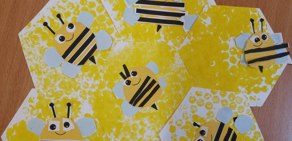 346168131 969175844499280 7304437118147754345 n